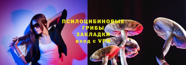 Альфа ПВП Няндома