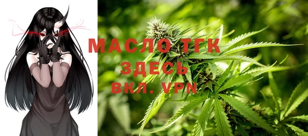 Альфа ПВП Няндома