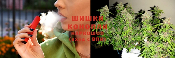Альфа ПВП Няндома