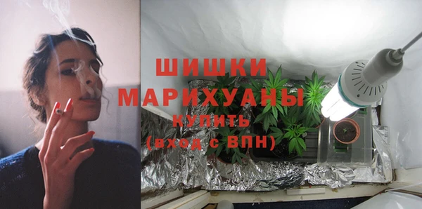 Альфа ПВП Няндома