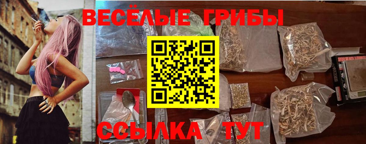 Гурьевск  Галлюциногенные грибы Magic Shrooms  Галлюциногенные грибы мухоморы  наркотики  Вход с VPN 